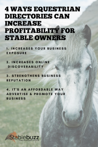 Equestrian Directory profit equine business