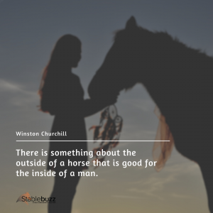 Horse Quote