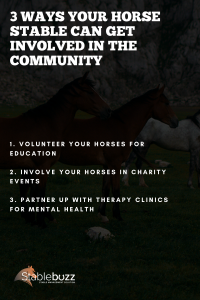 horses therapy charity volunteer community