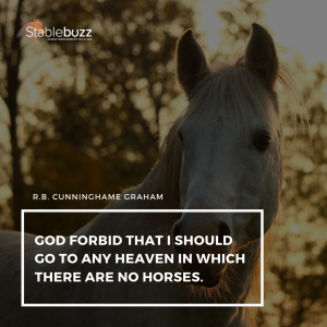 Horse Lover Quote