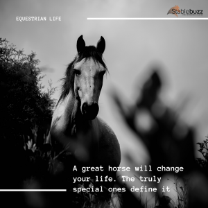 Horse Quote Motivation