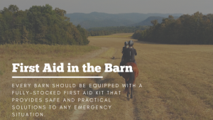 First Aid Horse Barn Stable Management