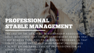 Professional Stable Management