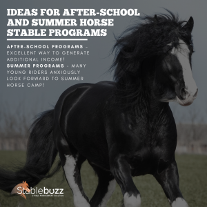 horse stable programs