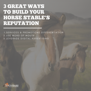 build reputation horse stable