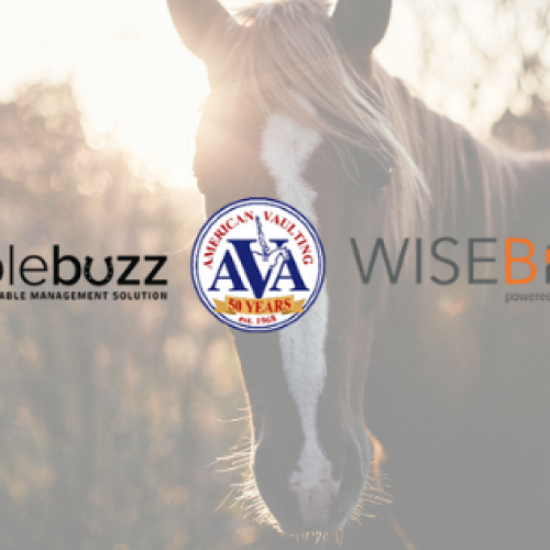 american vaulting Wisebox stablebuzz chilliwack equestrian