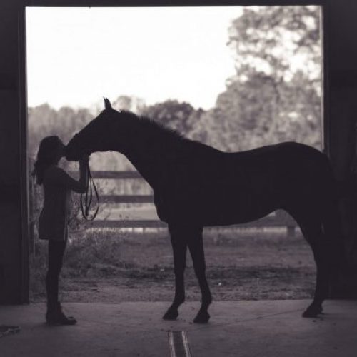 girl and horse in dark barn