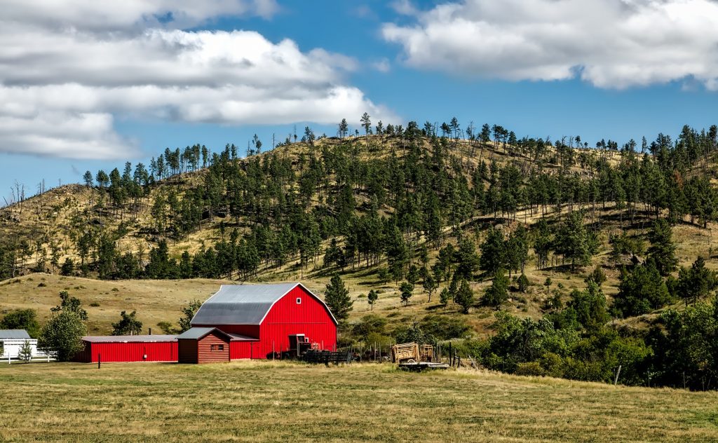 How to Clean Your Barn Spring Cleaning