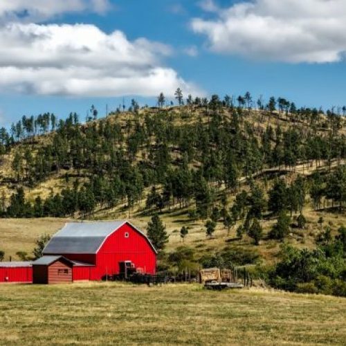 How to Clean Your Barn Spring Cleaning