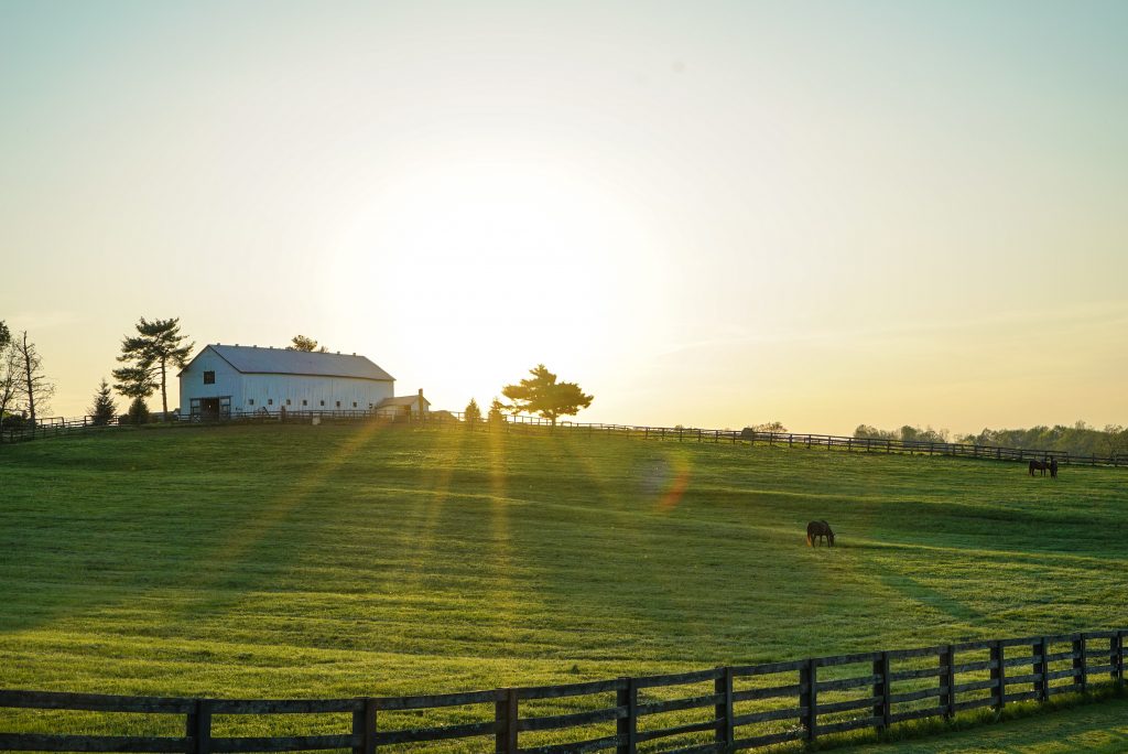 white barn in a field