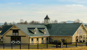 Buying a Working Equestrian Facility vs Starting Your Own From Scratch