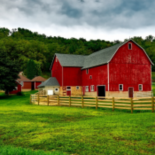 Keeping Your Cool in The Barn This Summer