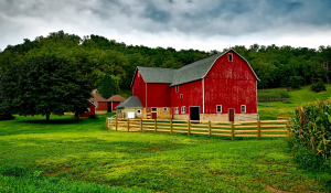 Keeping Your Cool in The Barn This Summer