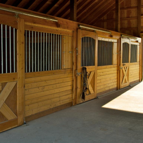 mistakes to avoid horse stable boarding