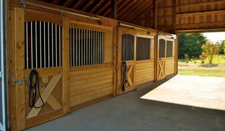 mistakes to avoid horse stable boarding