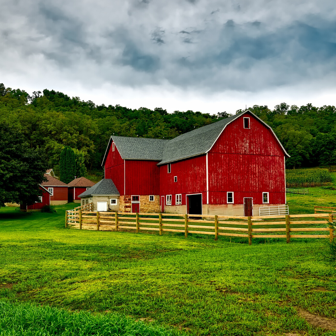 horse stable management