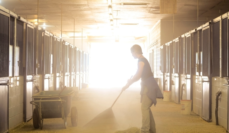 Barn Spring Cleaning