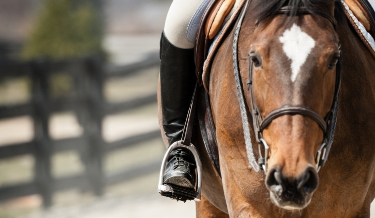 Horseback Riding