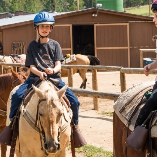 Hosting Clinics at Your Horse Stable