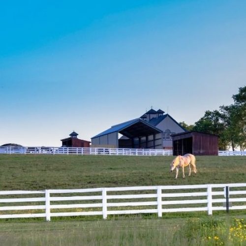 Buying vs building a horse farm