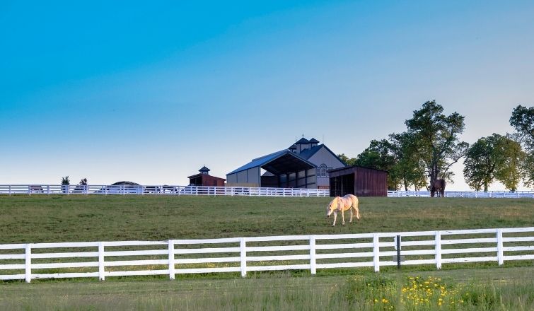 Buying vs building a horse farm