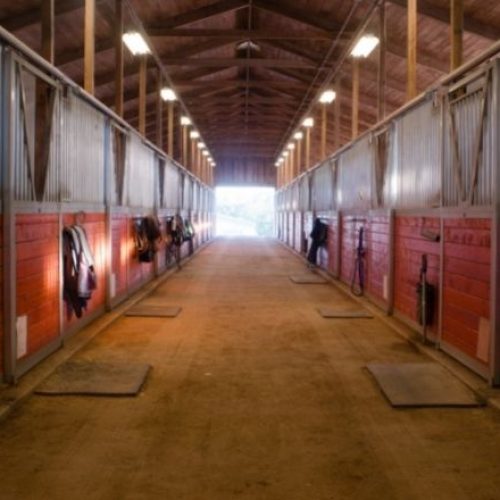 Preventing Fires in Your Horse Stable