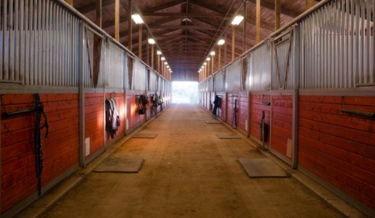 Preventing Fires in Your Horse Stable