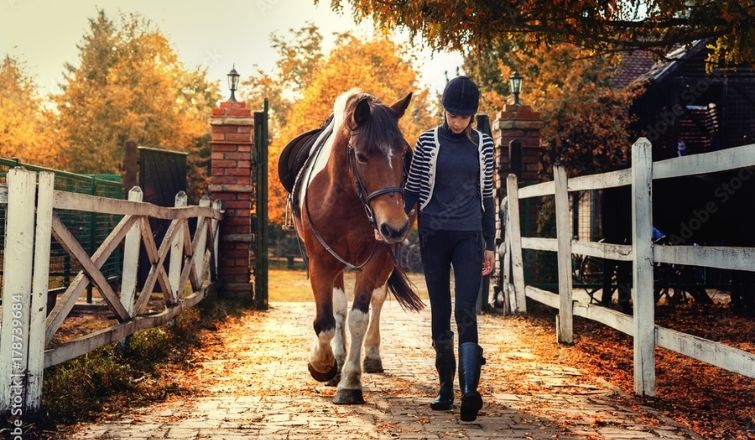 Making The Most of Your Time at the Stables