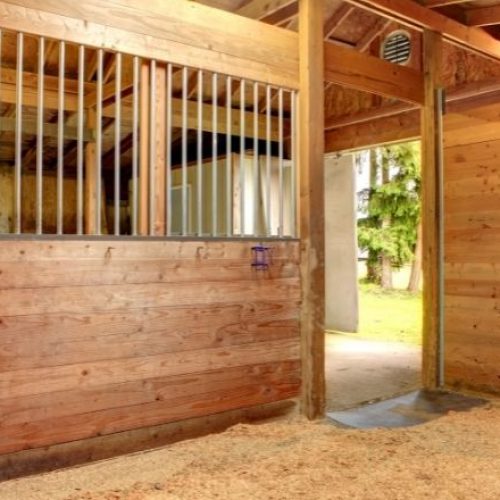 Tips for Running an Efficient Horse Stable