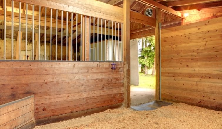 Tips for Running an Efficient Horse Stable