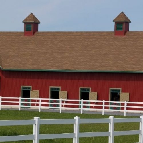 How to Design the Best Horse Paddock