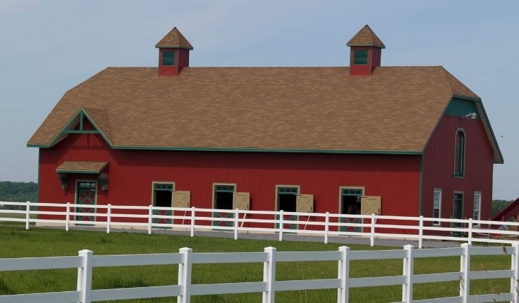 How to Design the Best Horse Paddock