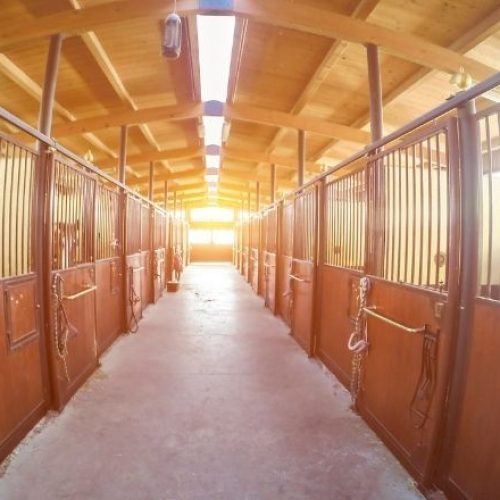 Recycling at the Stables