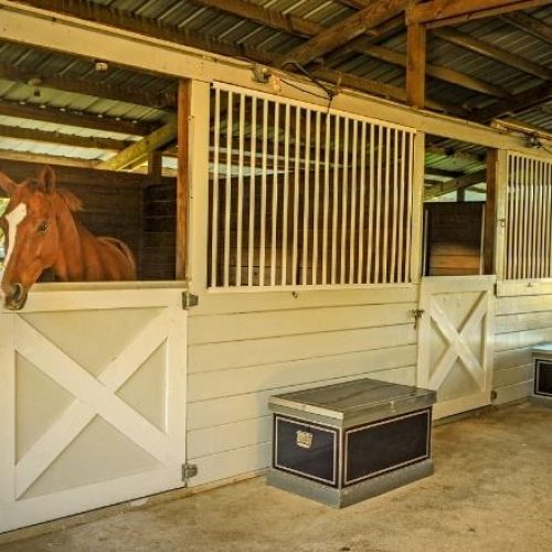 Installing an Equine Monitoring System for Your Stables