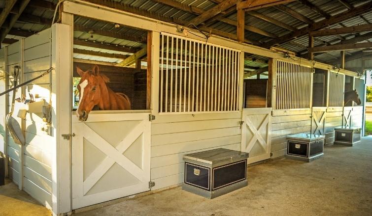 Installing an Equine Monitoring System for Your Stables