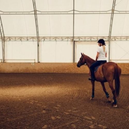 Girl riding a horse in arena