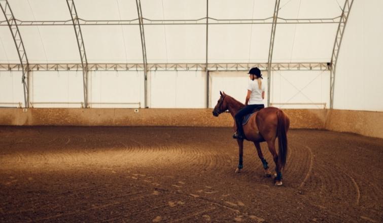 Girl riding a horse in arena