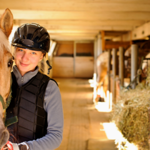 Streamlining Your Stable Management